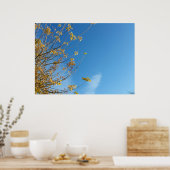 Autumn sky poster (Keuken)