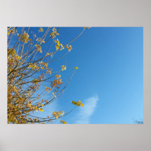 Autumn sky poster