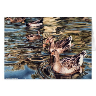 Autumn Song - ganzen en eenden in vijver