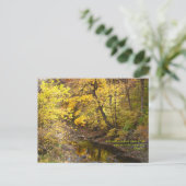 Autumn Splendor III Briefkaart (Staand voorkant)