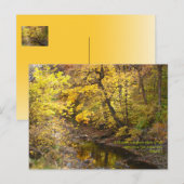 Autumn Splendor III Briefkaart (Voorkant / Achterkant)