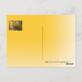 Autumn Splendor III Briefkaart (Achterkant)
