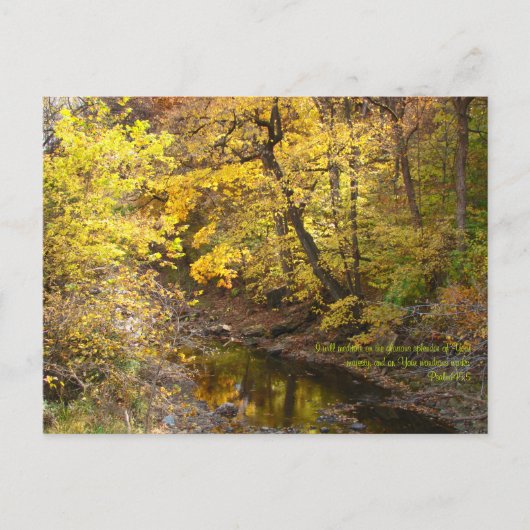 Autumn Splendor III Briefkaart (Voorkant)