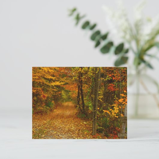 Autumn Splendor in New England Briefkaart (Staand voorkant)