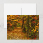 Autumn Splendor in New England Briefkaart (Voorkant / Achterkant)