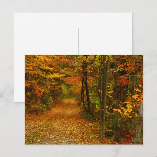 Autumn Splendor in New England Briefkaart (Voorkant / Achterkant)