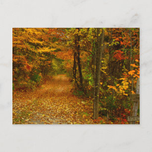 Autumn Splendor in New England Briefkaart