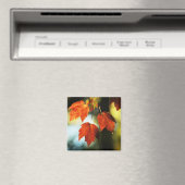 Autumn Splendor Magneet (Insitu (Vaatwasser))