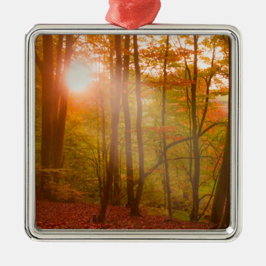 Autumn Splendor Metalen Ornament (Voorkant)