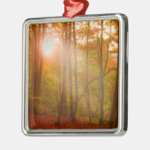 Autumn Splendor Metalen Ornament (Links)