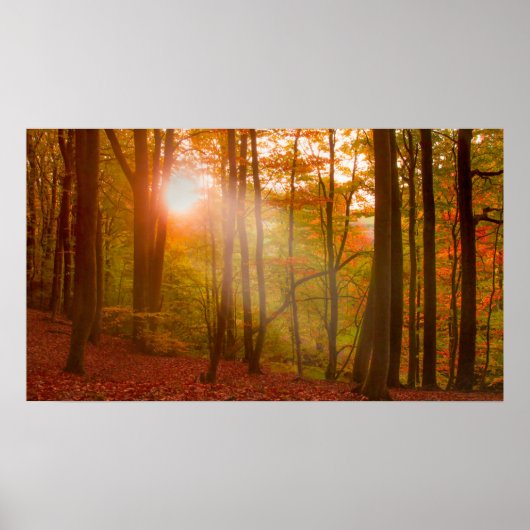 Autumn Splendor Poster (Voorkant)