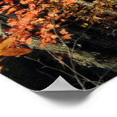 Autumn Splendor Poster (Hoek)