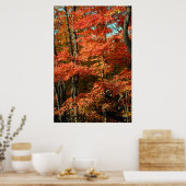 Autumn Splendor Poster (Keuken)