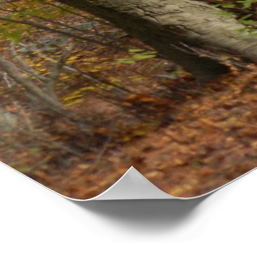 Autumn Splendor Poster (Hoek)