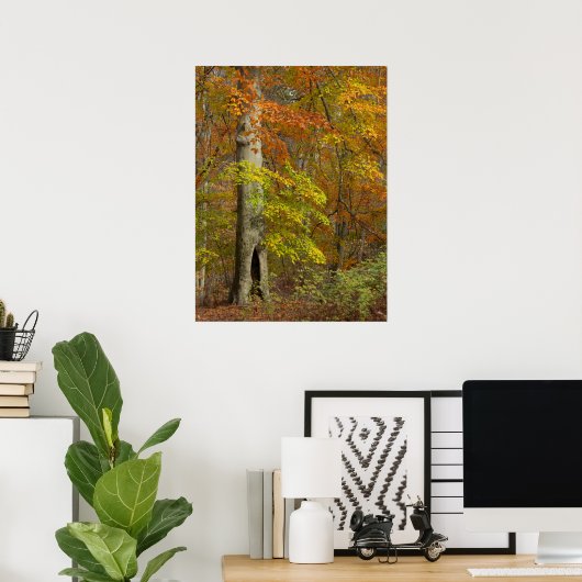Autumn Splendor Poster (Thuiskantoor)
