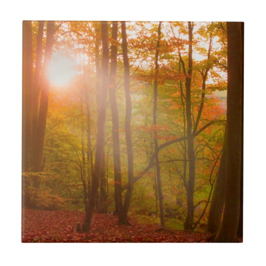 Autumn Splendor Tegeltje (Voorkant)