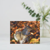 Autumn Squirrel Briefkaart (Staand voorkant)