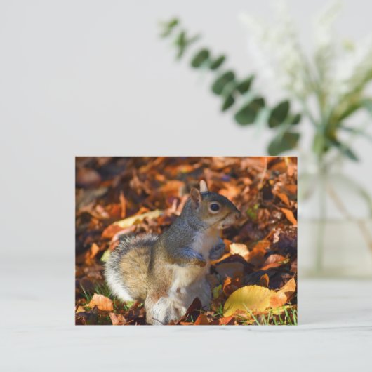 Autumn Squirrel Briefkaart (Staand voorkant)