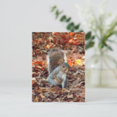 Autumn Squirrel Briefkaart (Staand voorkant)