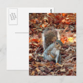 Autumn Squirrel Briefkaart (Voorkant / Achterkant)
