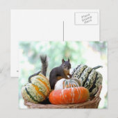 Autumn Squirrel Briefkaart (Voorkant / Achterkant)