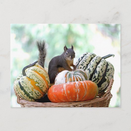 Autumn Squirrel Briefkaart (Voorkant)