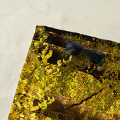 Autumn Steam Train, Bewdley, UK - voeg de Tekst va Strandlaken (In situ)