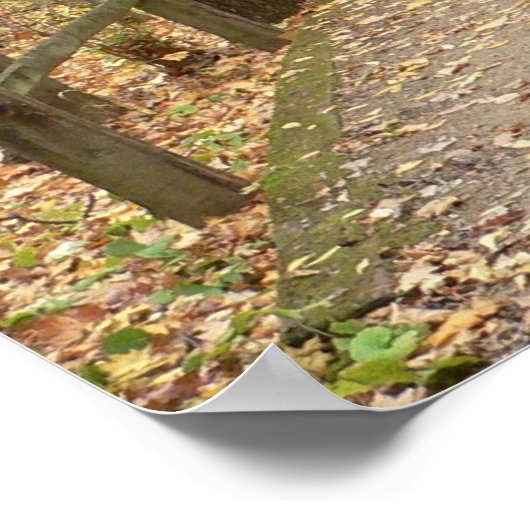 Autumn Stillness Poster (Hoek)