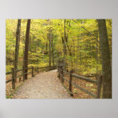 Autumn Stillness Poster (Voorkant)