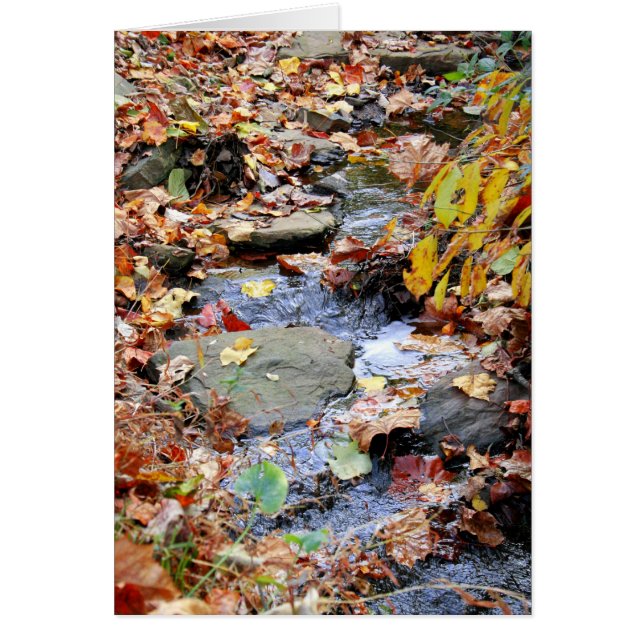 Autumn Stream (Voorkant)