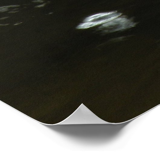 Autumn Stream Cascade Photo Poster (Hoek)