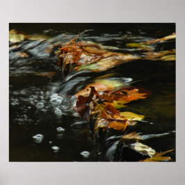 Autumn Stream Cascade Photo Poster