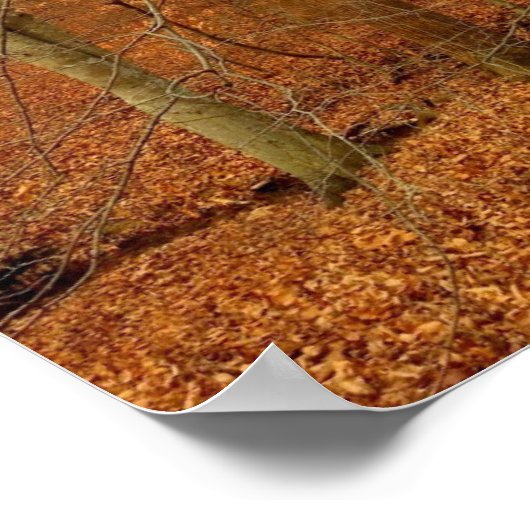 Autumn Stream Poster (Hoek)