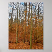 Autumn Stream Poster (Voorkant)