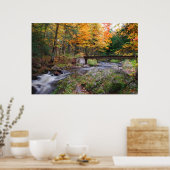 Autumn Stream Poster (Keuken)