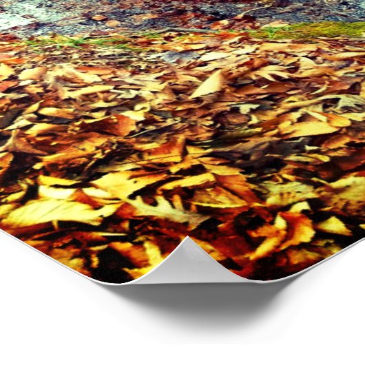 Autumn Stream Poster (Hoek)