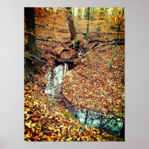 Autumn Stream Poster