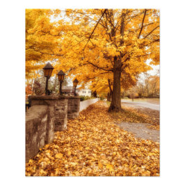 Autumn Street Scene| Gele bladeren Foto Afdruk