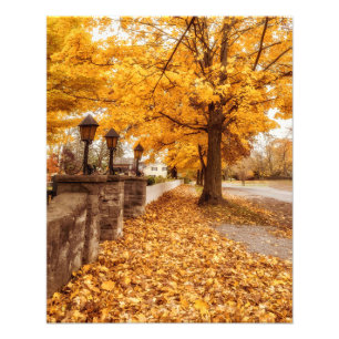 Autumn Street Scene  Gele bladeren Foto Afdruk