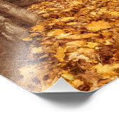 Autumn Street Scene| Gele bladeren Foto Afdruk (Hoek)