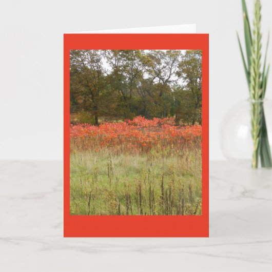 Autumn Sumac Blank Notecard Kaart (Voorkant)