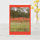Autumn Sumac Blank Notecard Kaart (Gele Bloem)