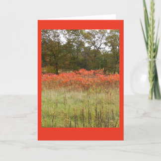 Autumn Sumac Blank Notecard Kaart