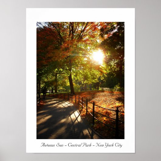 Autumn Sun - Central Park - New York City Poster (Voorkant)