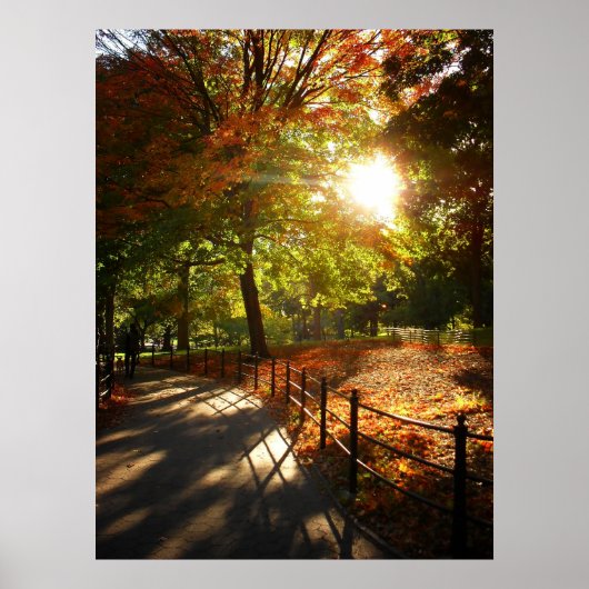 Autumn Sun in Central Park, NYC, alle grootten Poster (Voorkant)