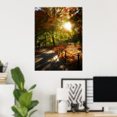 Autumn Sun in Central Park, NYC, alle grootten Poster (Thuiskantoor)