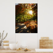 Autumn Sun in Central Park, NYC, alle grootten Poster (Keuken)
