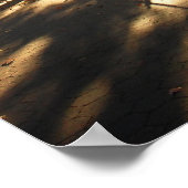 Autumn Sun in Central Park, NYC, Middelgroot Poster (Hoek)