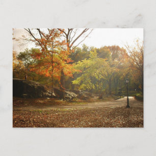Autumn Sun Rays, Central Park, New York City Briefkaart