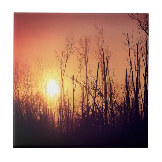 Autumn Sun Tegeltje (Voorkant)